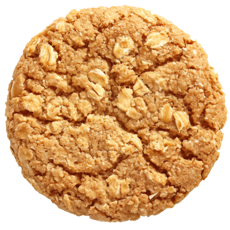 Oatmeal Cookie